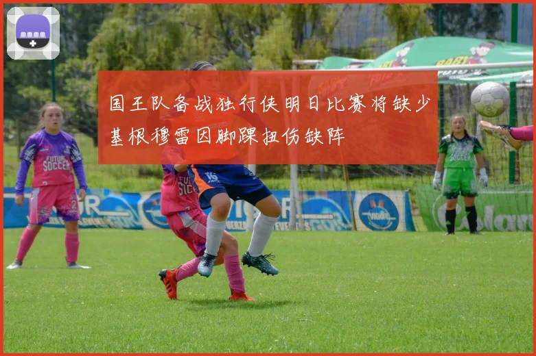 国王队备战独行侠明日比赛将缺少基根穆雷因脚踝扭伤缺阵